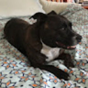 Meet your Posher, Isobel